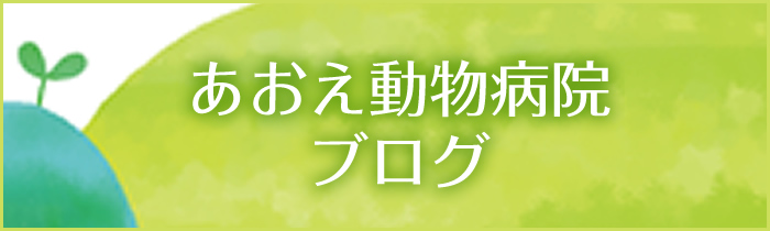 あおえ動物病院ブログ